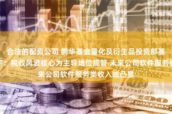 合法的配资公司 鹏华基金量化及衍生品投资部基金经理罗英宇：税收风波核心为主导地位规管 未来公司软件服务类收入或凸显